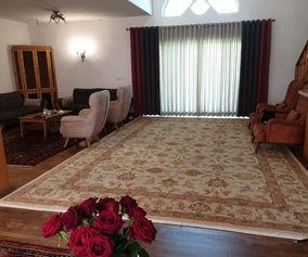 iran carpet